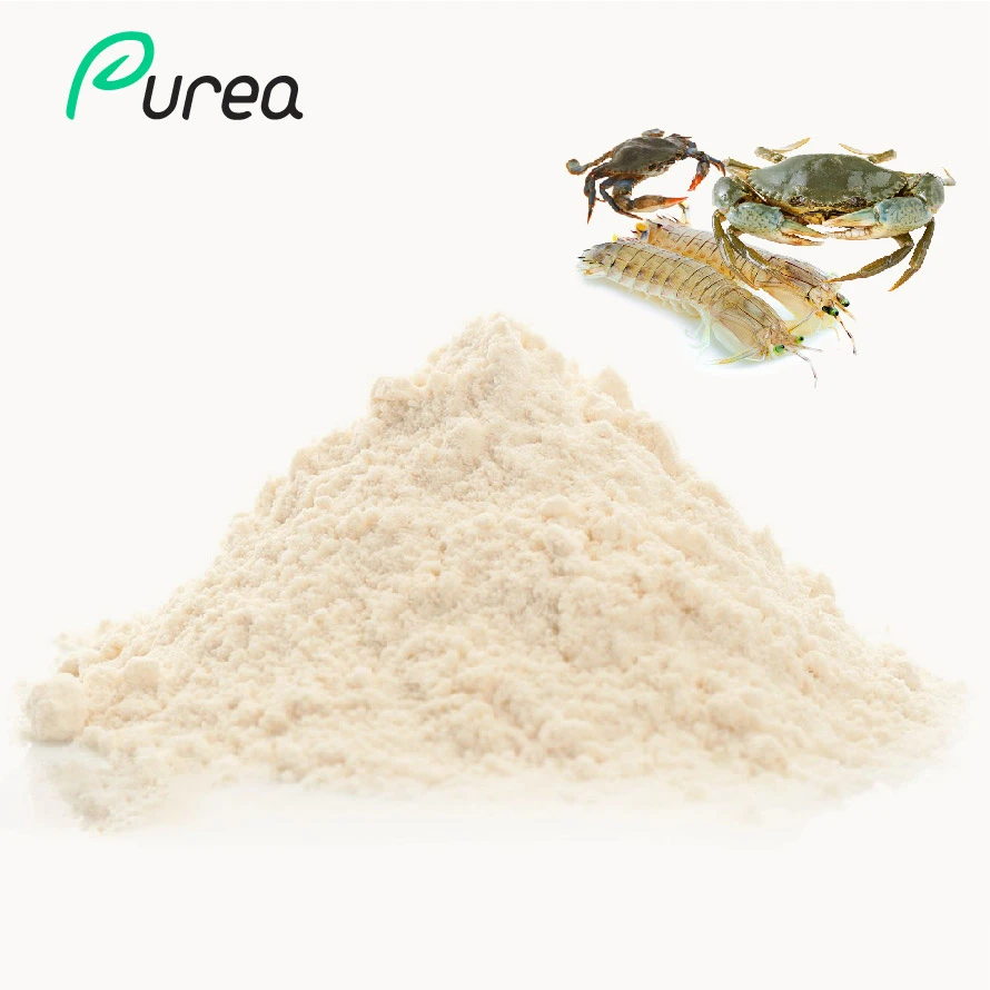 Chitosan Powder